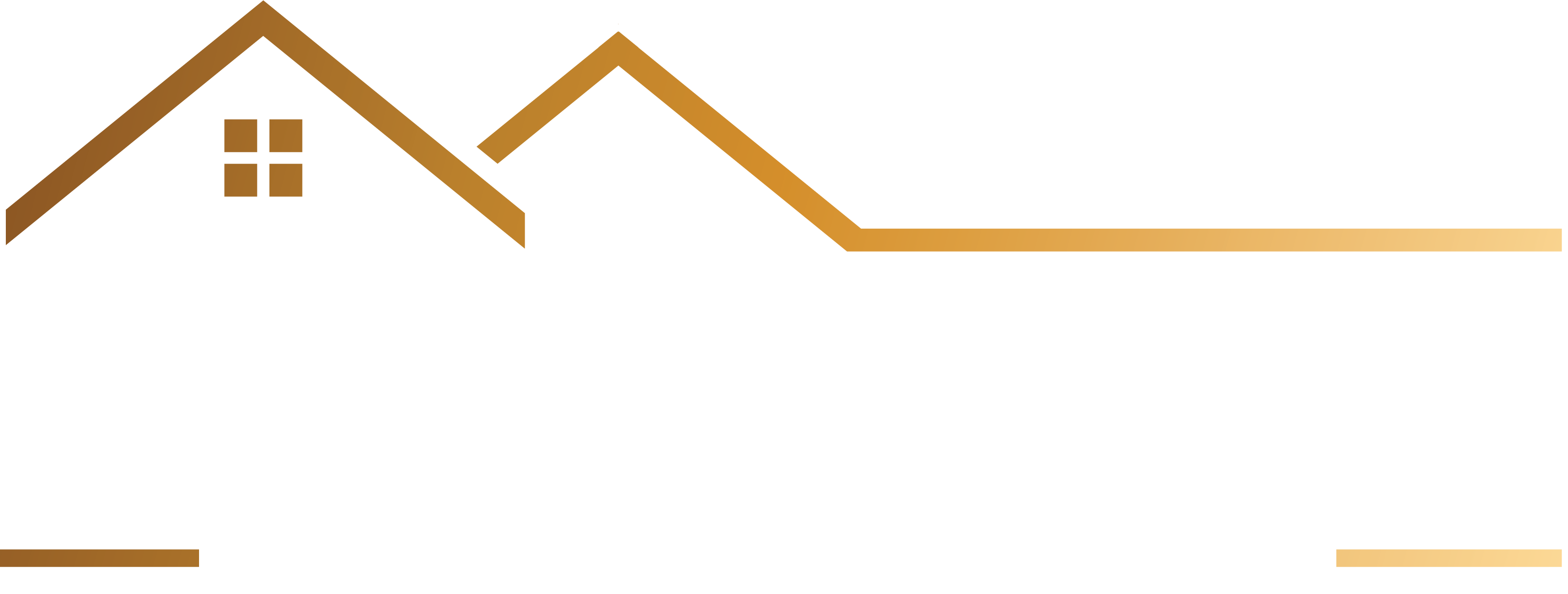לוגו ישראלוביץ נגטיבי
